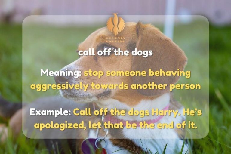 Complete list of Hunting Phrases and Idioms Phoenix English