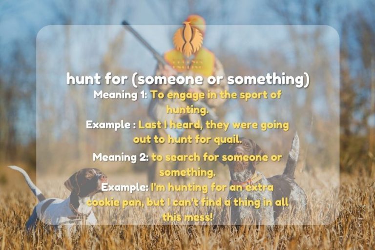 Complete list of Hunting Phrases and Idioms - Phoenix English