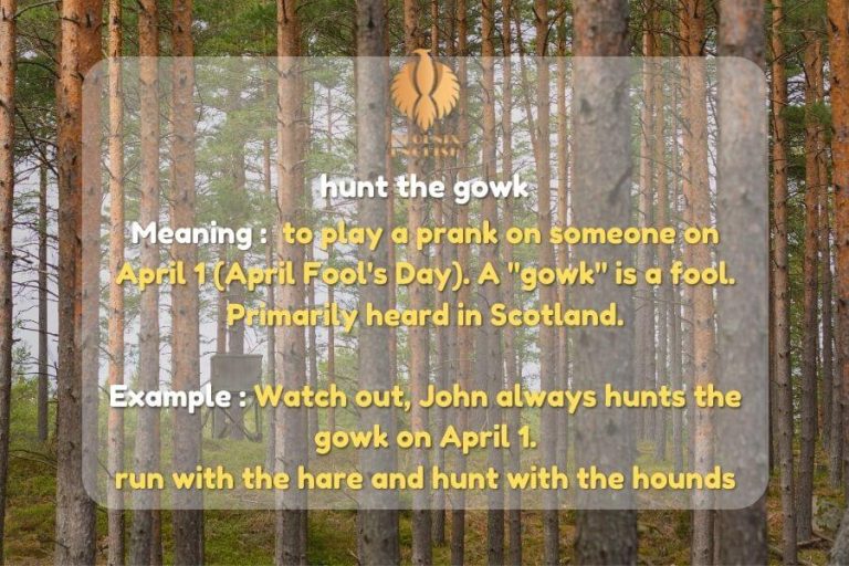 Complete list of Hunting Phrases and Idioms Phoenix English