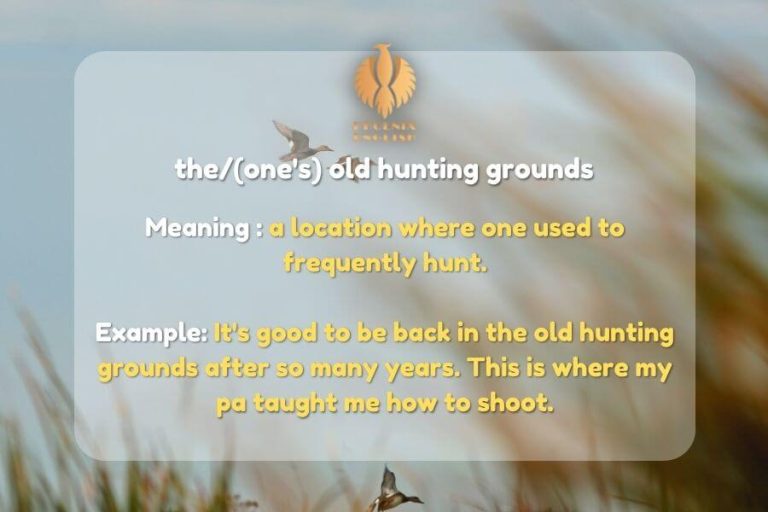 Complete list of Hunting Phrases and Idioms Phoenix English