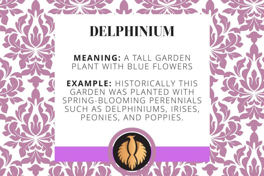 Delphinium