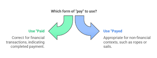 a infographic for Paid Vs Payed : Differences + Examples [My 2025 Teaching Way]