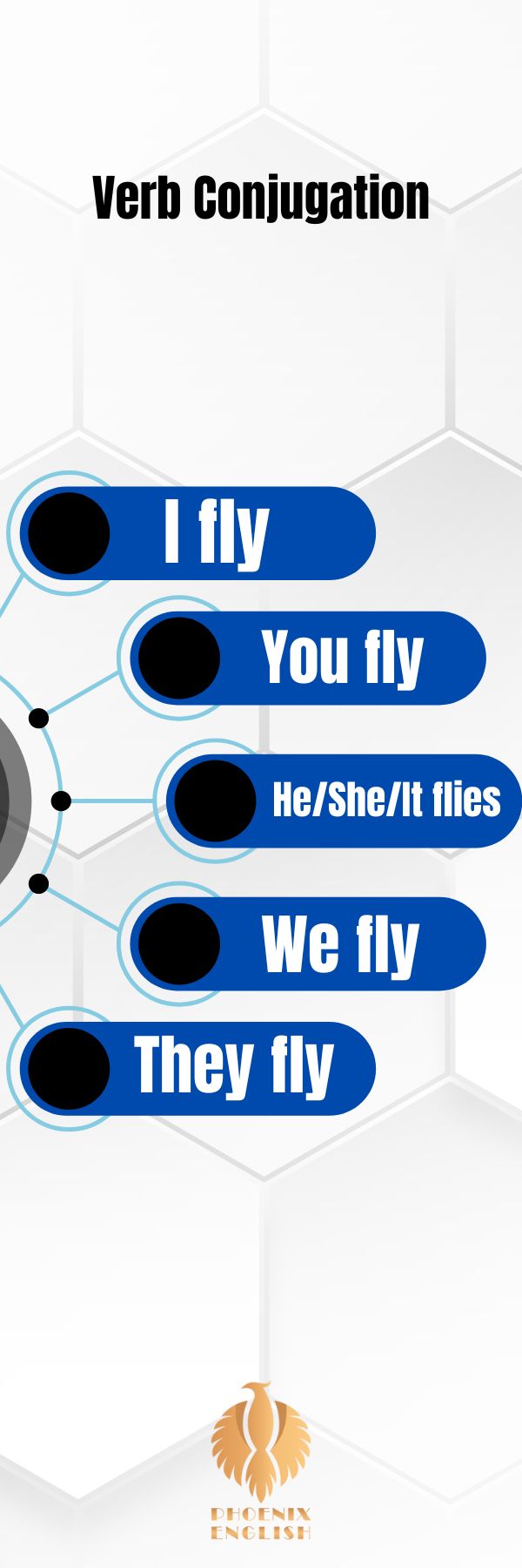 an infographic about Verb Conjugation