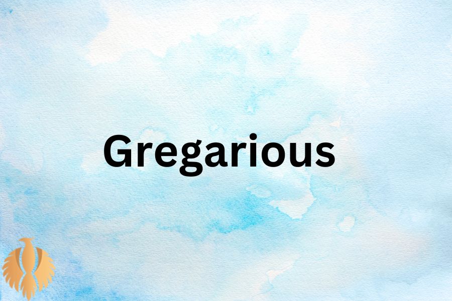 an pic about Gregarious