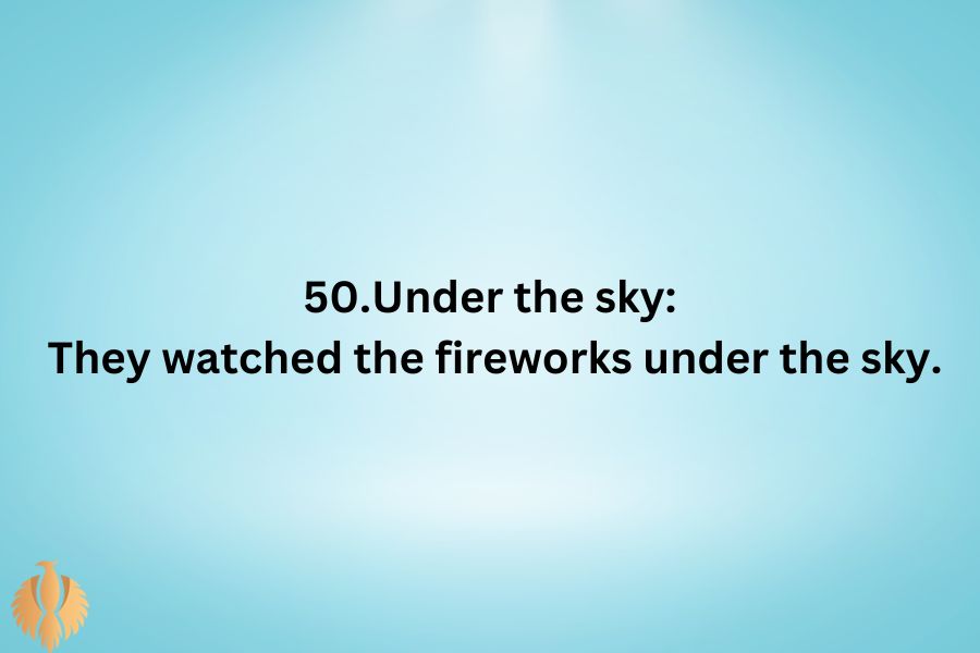 a image about 50.Under the sky: They watched the fireworks under the sky.