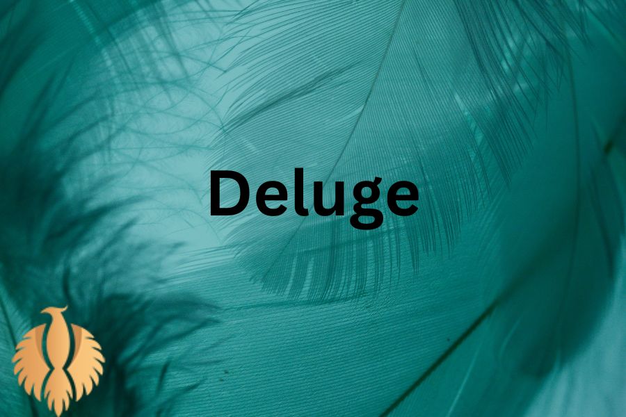 a image for Deluge