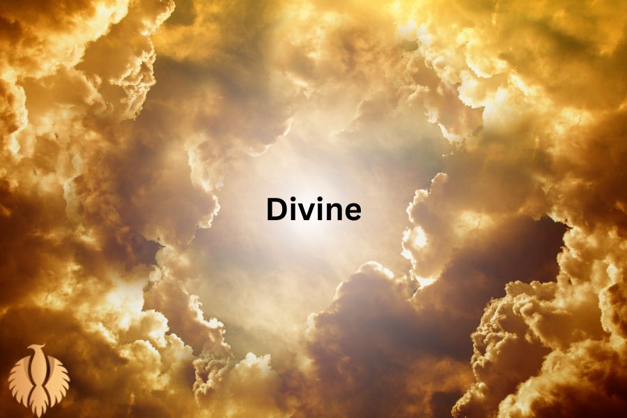 a pic about Divine