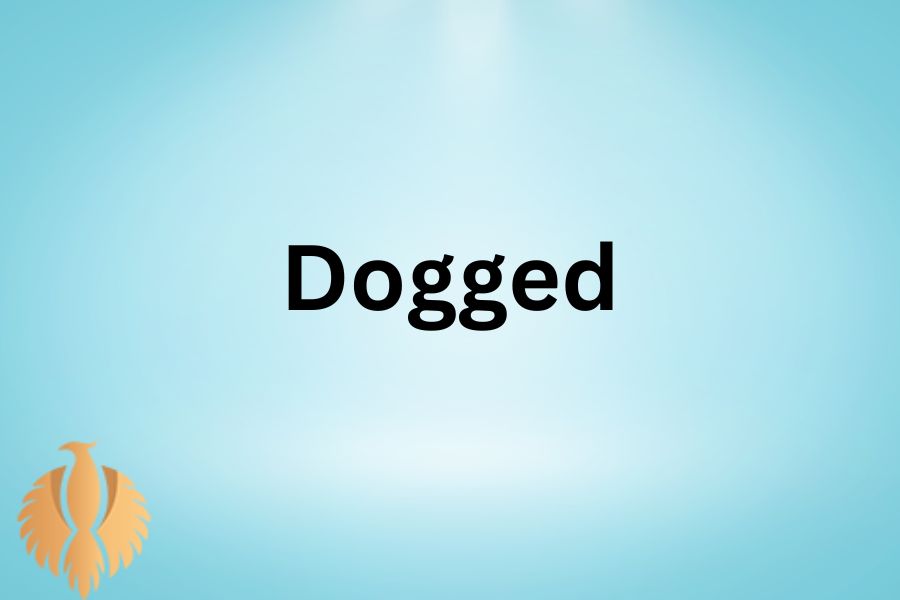 a pic for Dogged