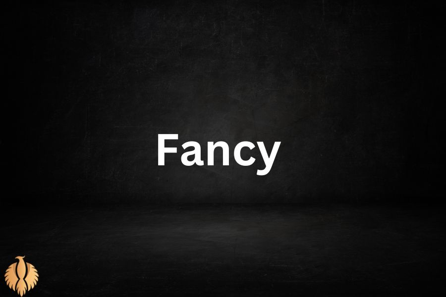 a image about Fancy 