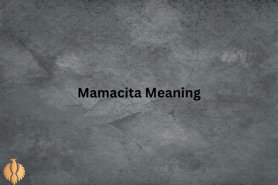 a featured image for Mamacita Meaning