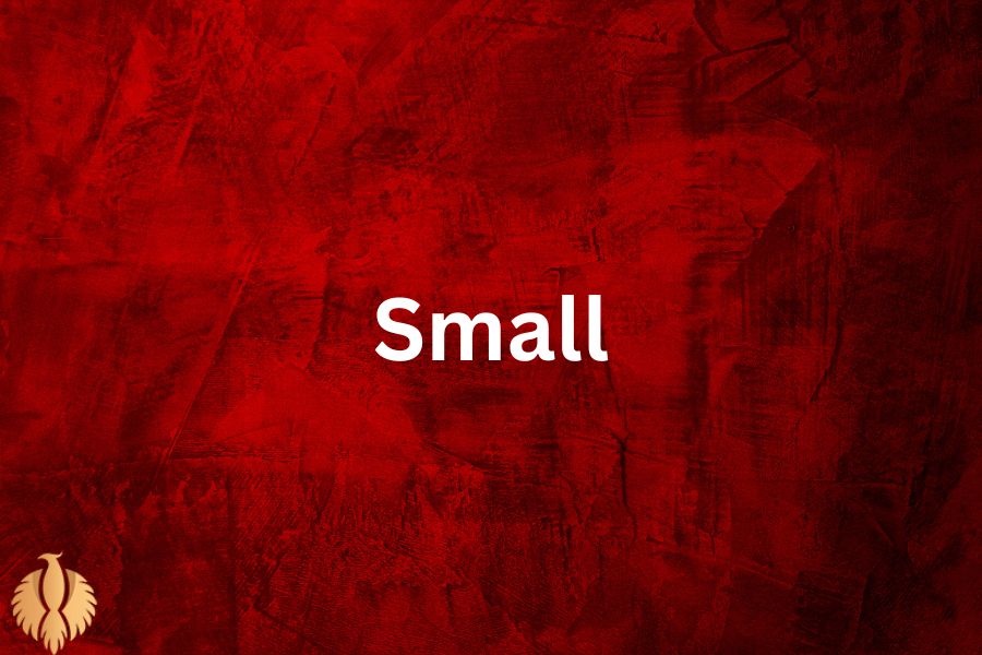 a pic about Small