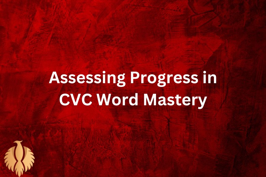 a photo for Assessing Progress in CVC Word Mastery