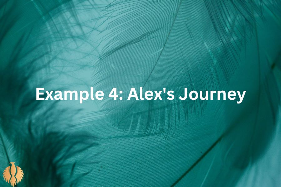 a image about Example 4: Alex's Journey