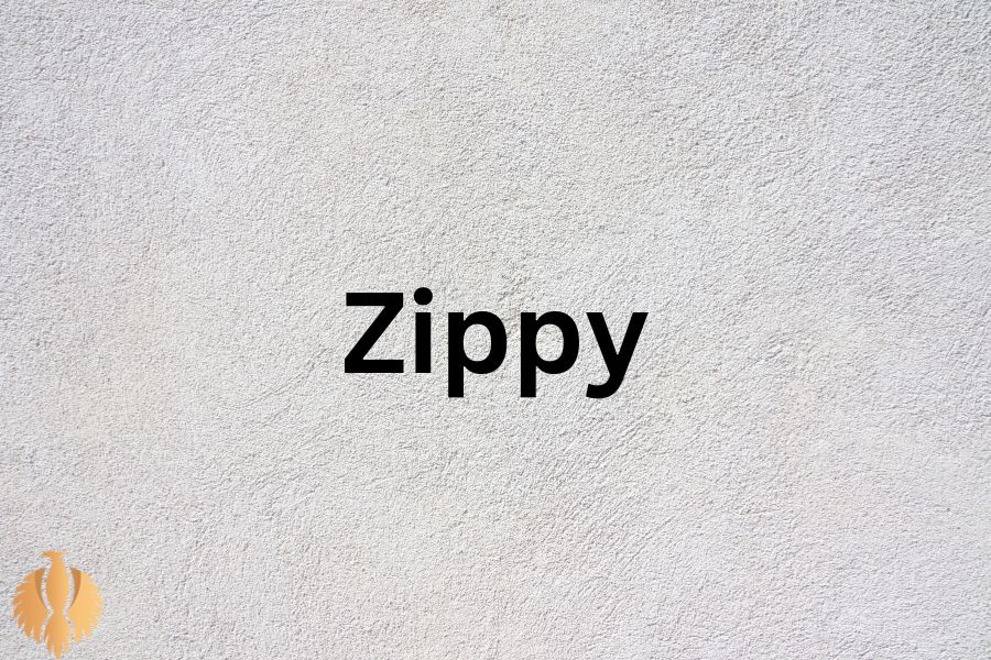 a pic about Zippy