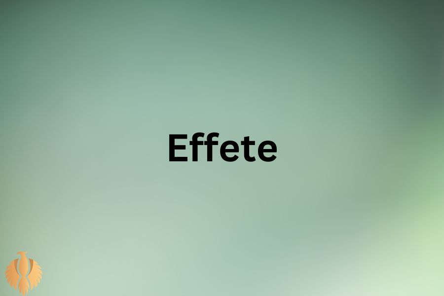 a image for Effete
