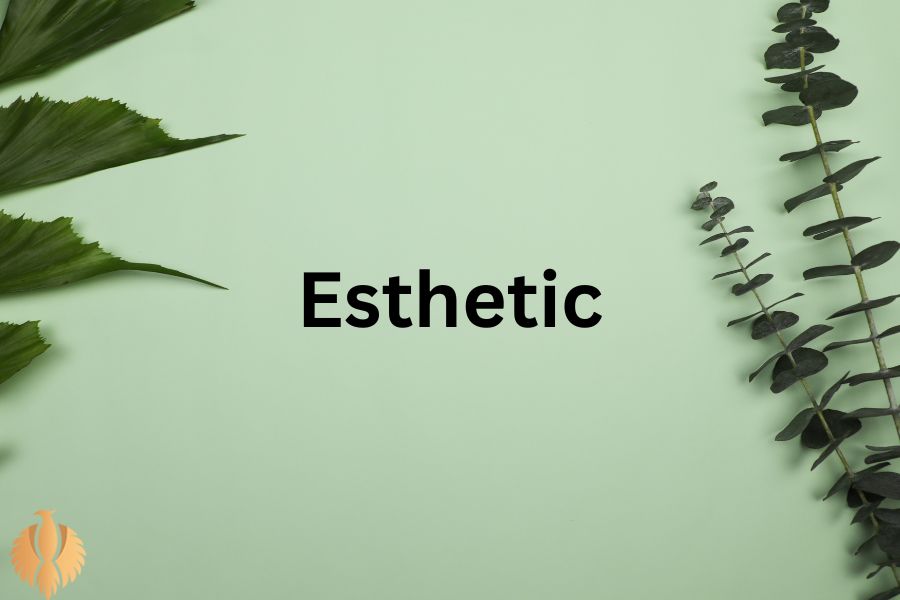 a image about Esthetic