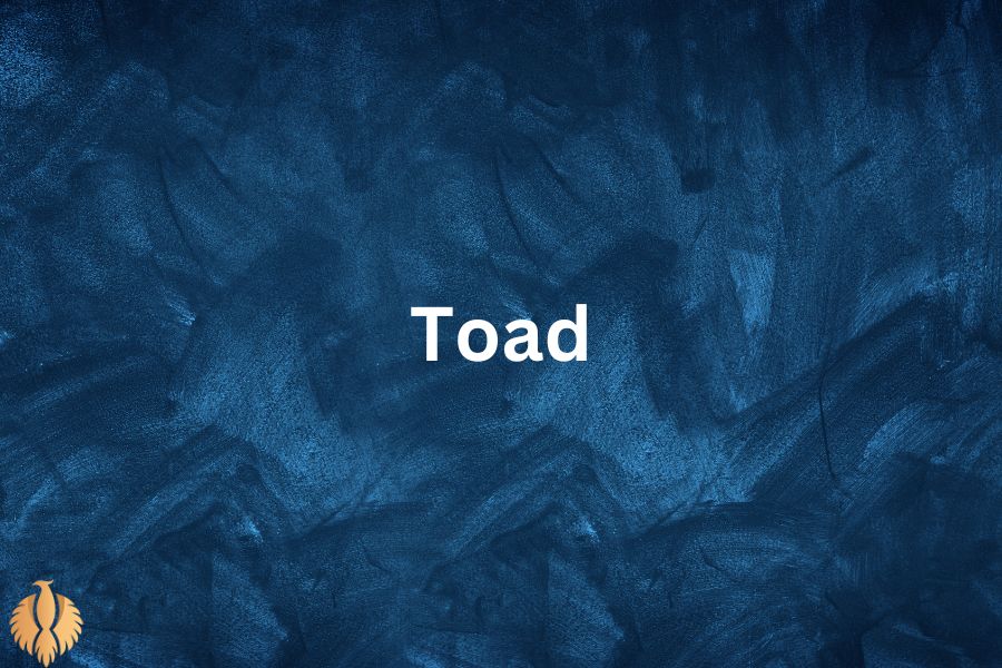 a image for Toad