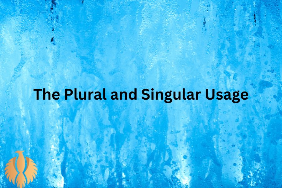 a image for The Plural and Singular Usage