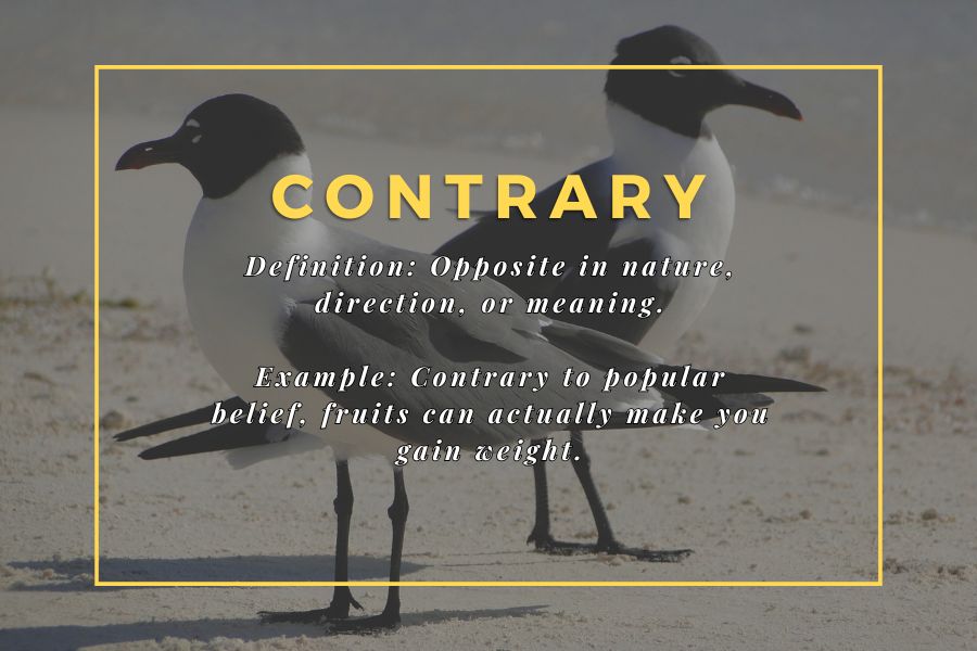 a pic about vocabulary word Contrary